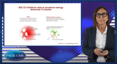 Underlying mechanisms of nephroprotective effects with SGLTi in CKD