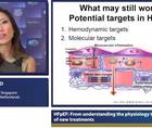 HFpEF from understanding the physiology to development of new treatments
