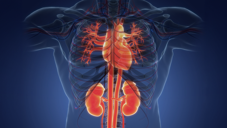 ReachMD Healthcare Image