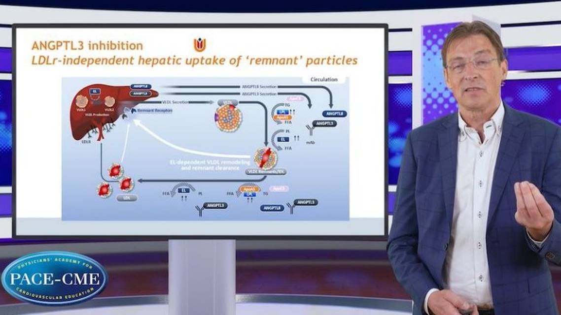 Optimizing treatment for patients with HoFH