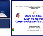 Overview of SGLT inhibitors in TDM management current position  future promise