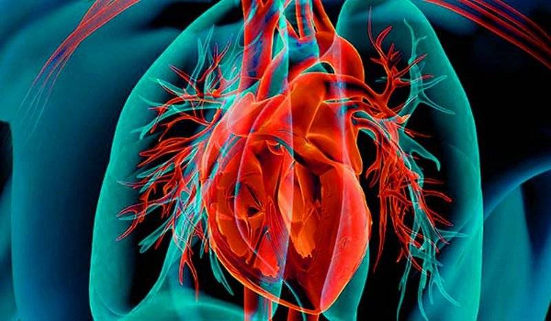 Emerging therapies in HCM The potential role of cardiac myosin inhibitors