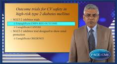 Outcomes of SGLTi in Diabetic Kidney Disease  Is it all diabetes