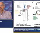 Understanding the mechanisms of SGLT inhibition in heart failure and diabetes
