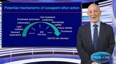 Potential mechanisms of benefit of icosapent ethyl