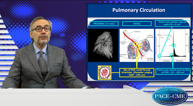 What is the underlying pathophysiology of PAH and what are its characteristics