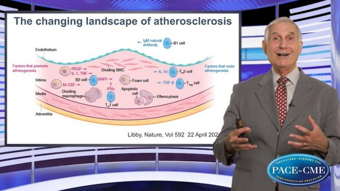 Novel modulators of inflammation in atherosclerosis