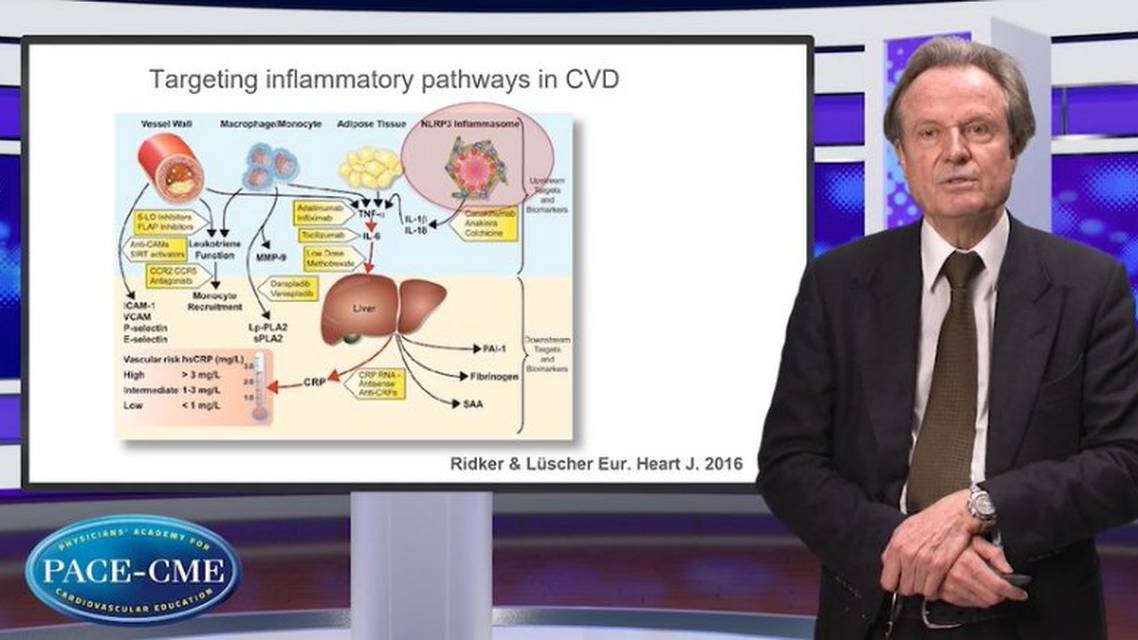 Inflammation and antiinflammatory therapy in CVD