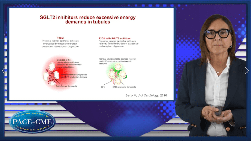 Underlying mechanisms of nephroprotective effects with SGLTi in CKD