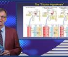 Understanding CKD and SGLTinhibition What are the key mechanisms
