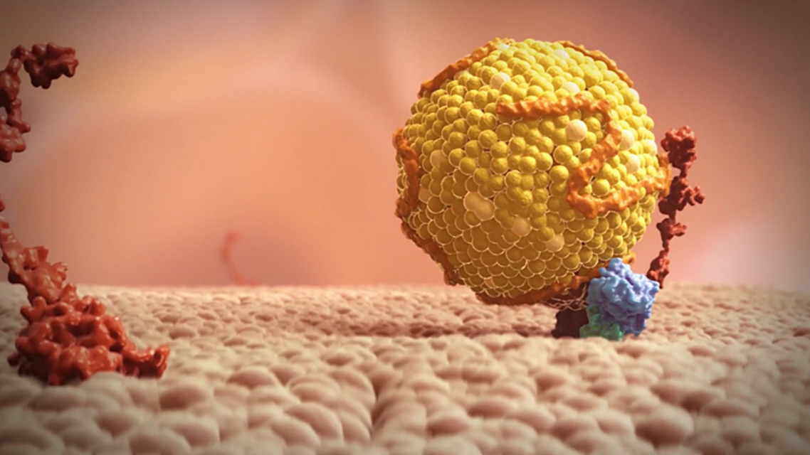 Role of PCSK in the regulation of LDL cholesterol