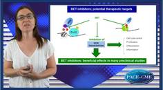 Epigenetic mechanisms targeting ALP A pathway for prevention of vascular calcification