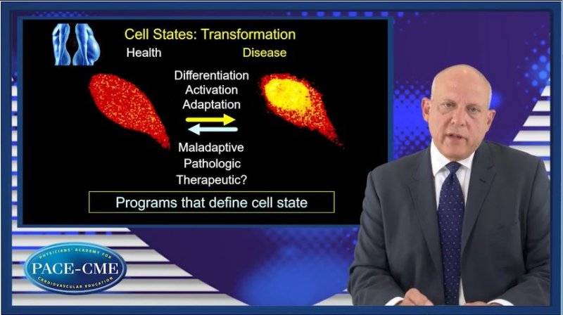 Understanding epigenetics The potential rationale for BET inhibition in management of CVD