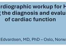 Downloadable slides  prof. Edvardsen