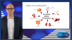 The role of ALP as predictor of CV events and vascular calcification in CKD