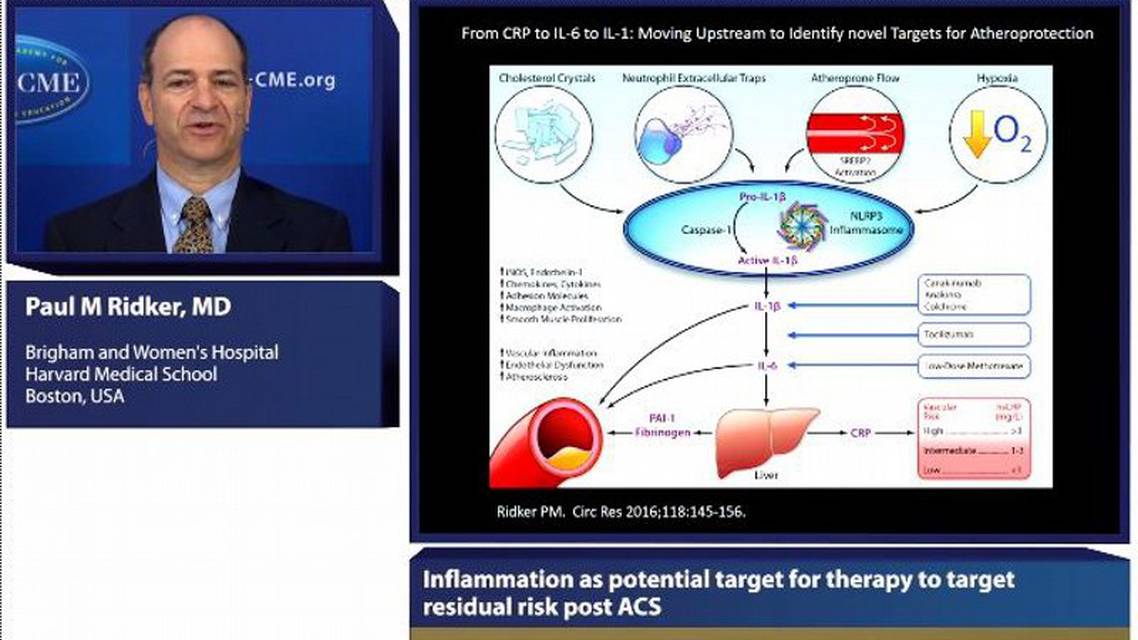 Inflammation as potential target for therapy to target residual risk post ACS