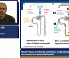 Heart failure and SGLT inhibition understanding the mechanism for potential benefit