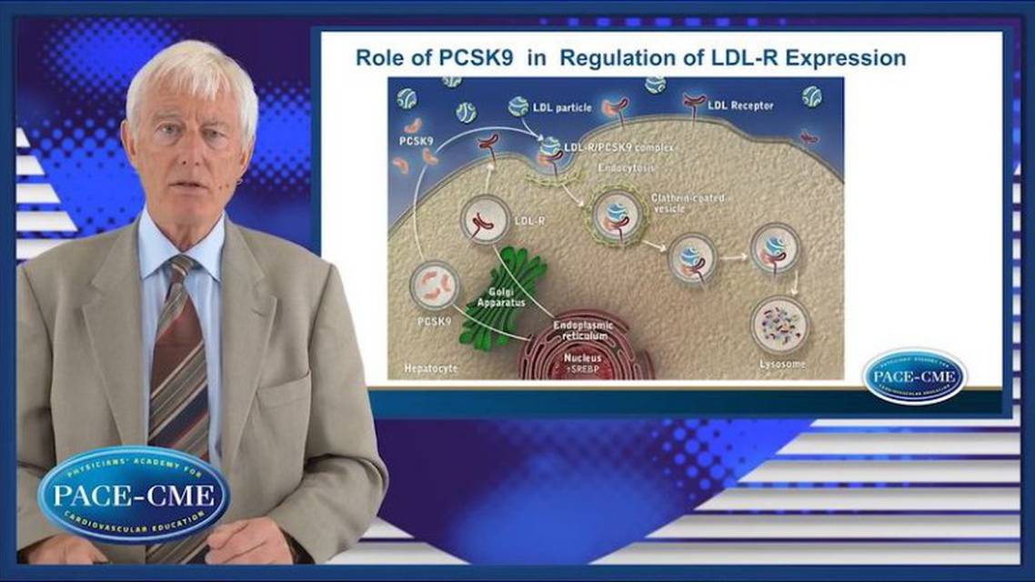 PCSK inhibitors How do they work