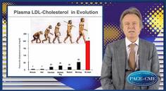 LDLc atherosclerotic plaques and CV risk  what to do about it