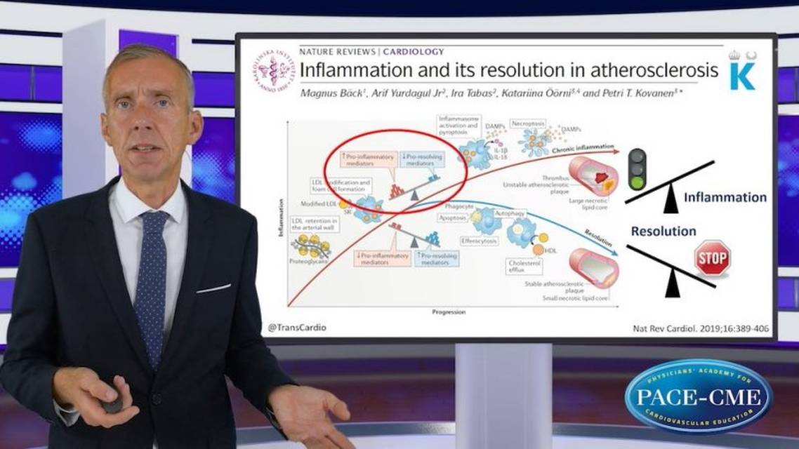 A continuum of multifactorial benefits of icosapent ethyl