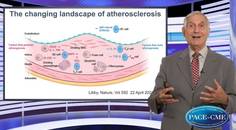 Novel modulators of inflammation in atherosclerosis
