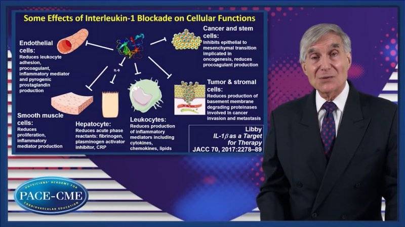 Inflammation  CVD Translating insights from vascular biology to the clinic