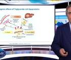 The residual risk challenge in CVD How important are triglycerides