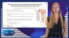 A novel parameter for proximal tubular function in HF