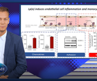 Lpa and immune metabolism