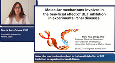 Molecular mechanisms involved in the beneficial effect of BET inhibition in experimental renal disease