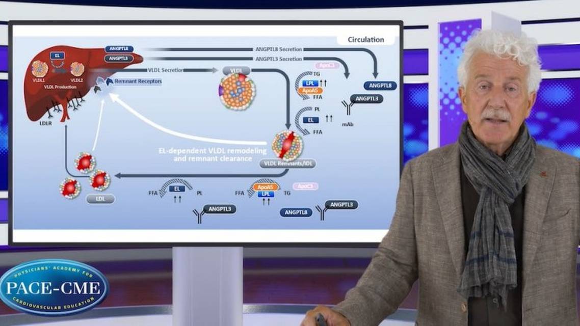 Addressing the unmet needs in LDLc lowering what can we expect
