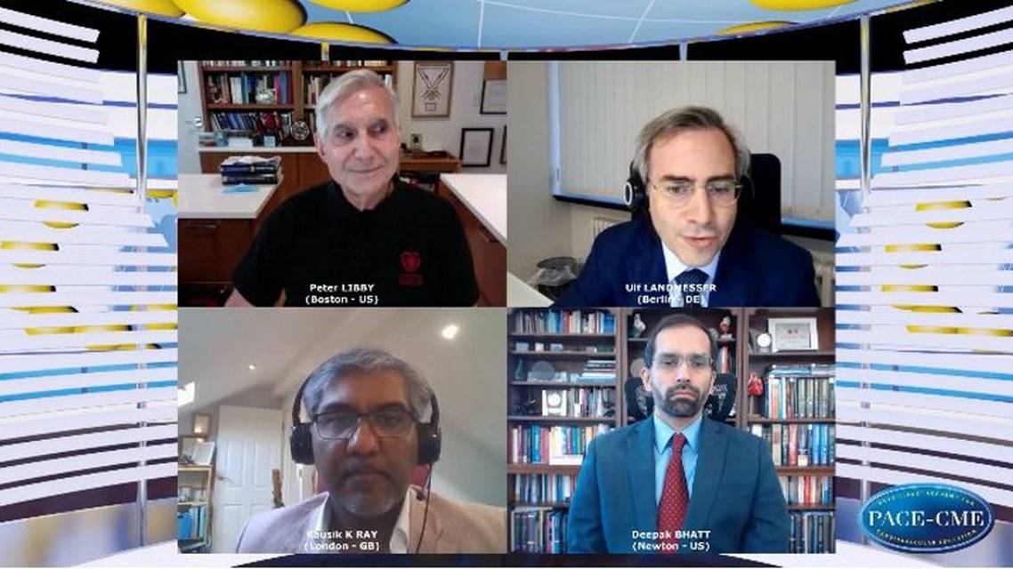 Discussion Novel opportunities tackling residual cardiovascular risk The evolving role of triglycerides