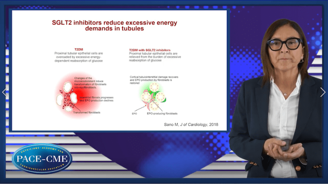 Underlying mechanisms of nephroprotective effects with SGLTi in CKD