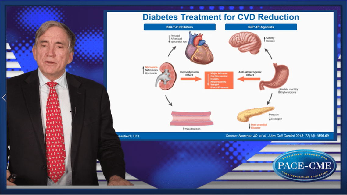 Targeting CVD in diabetes Novel strategies to tackle the risk
