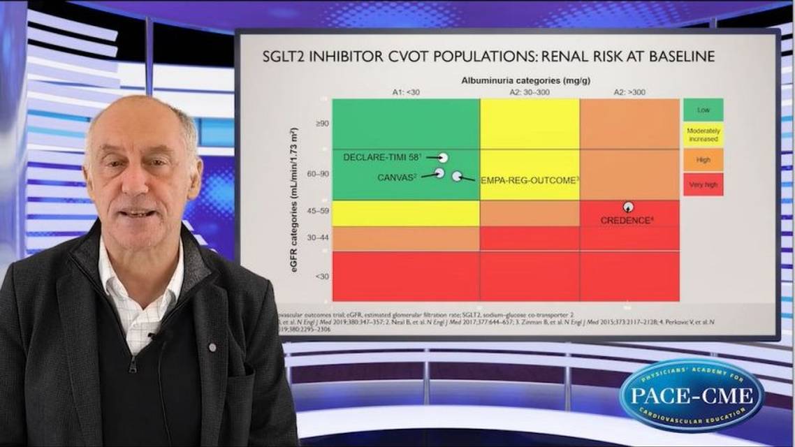Kidney protection and SGLTi What do we know