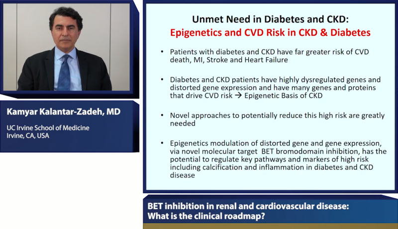 BET inhibition in renal and cardiovascular disease What is the clinical roadmap 