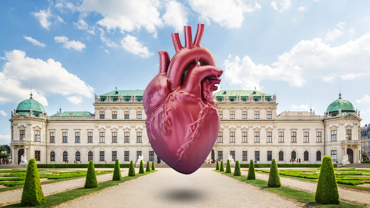 ReachMD Healthcare Image