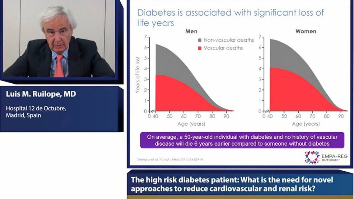 The high risk diabetes patient What is the need for novel approaches to reduce cardiovascular and renal risk