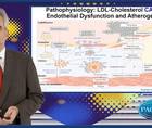 Translating pathophysiological genetic and trial data to practical LDLc treatment recommendations