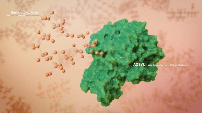 The mechanism of action of bempedoic acid