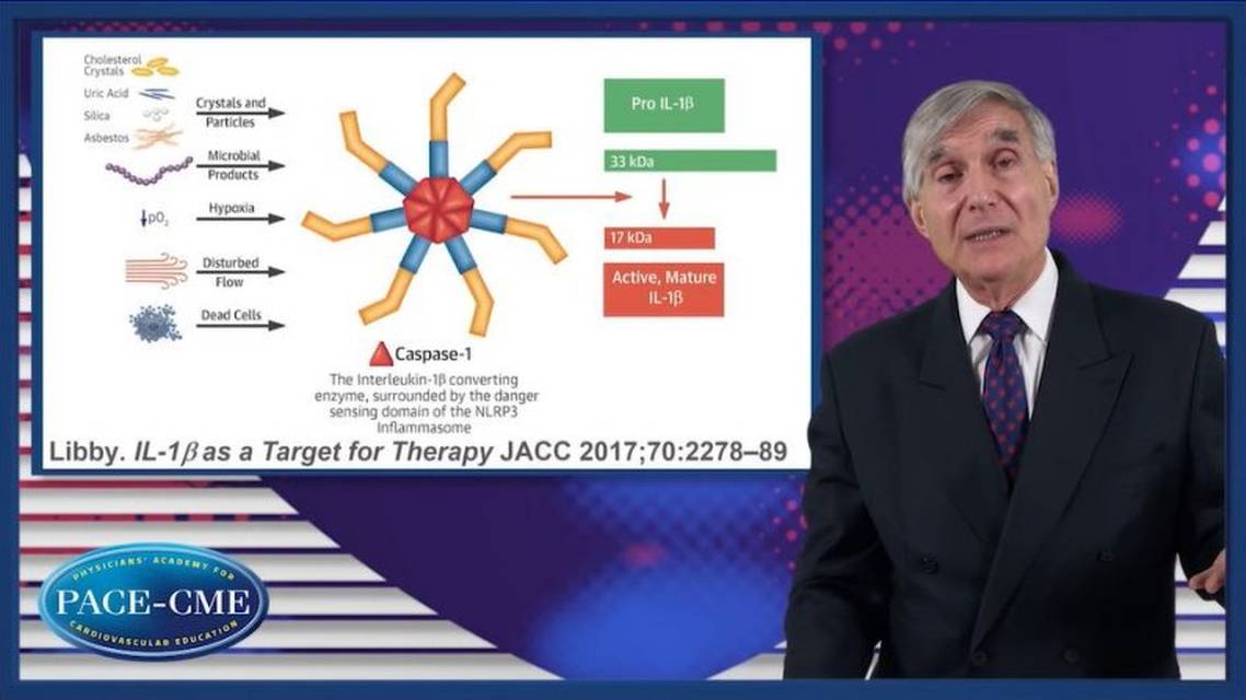 Antiinflammatory therapy in the prevention of cardiovascular disease