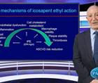Potential mechanisms of benefit of icosapent ethyl