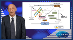 Outcomes of SGLTi in Diabetic Kidney Disease Is it all diabetes