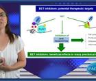 Epigenetic mechanisms targeting ALP A pathway for prevention of vascular calcification