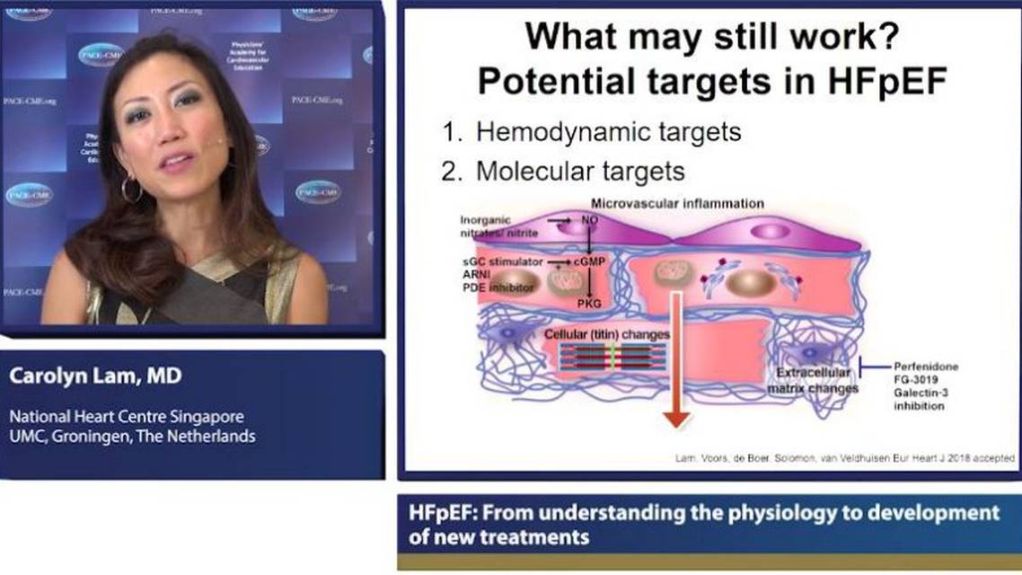 HFpEF from understanding the physiology to development of new treatments