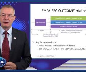 Diabetic Kidney Disease: Exploring mechanisms and outcomes of SGLT2 ...