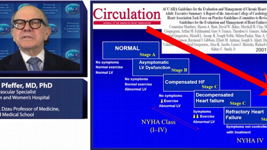 The spectrum of Heart Failure