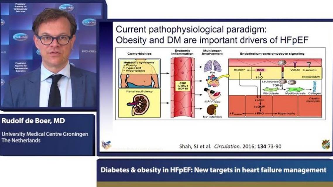 Diabetes Obesity in HFpEF New targets in heart failure management