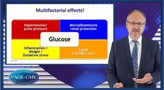 Changing focus in diabetes From glucose to CV risk management