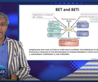 A clinical view on BET inhibition in targeting residual risk in CVD and diabetes